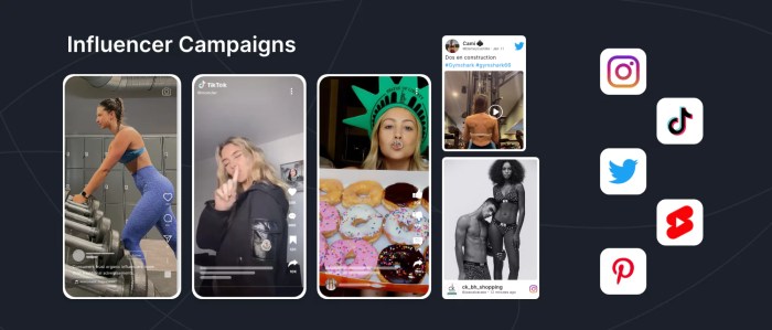 Marketing influencer campaign digital infographic most